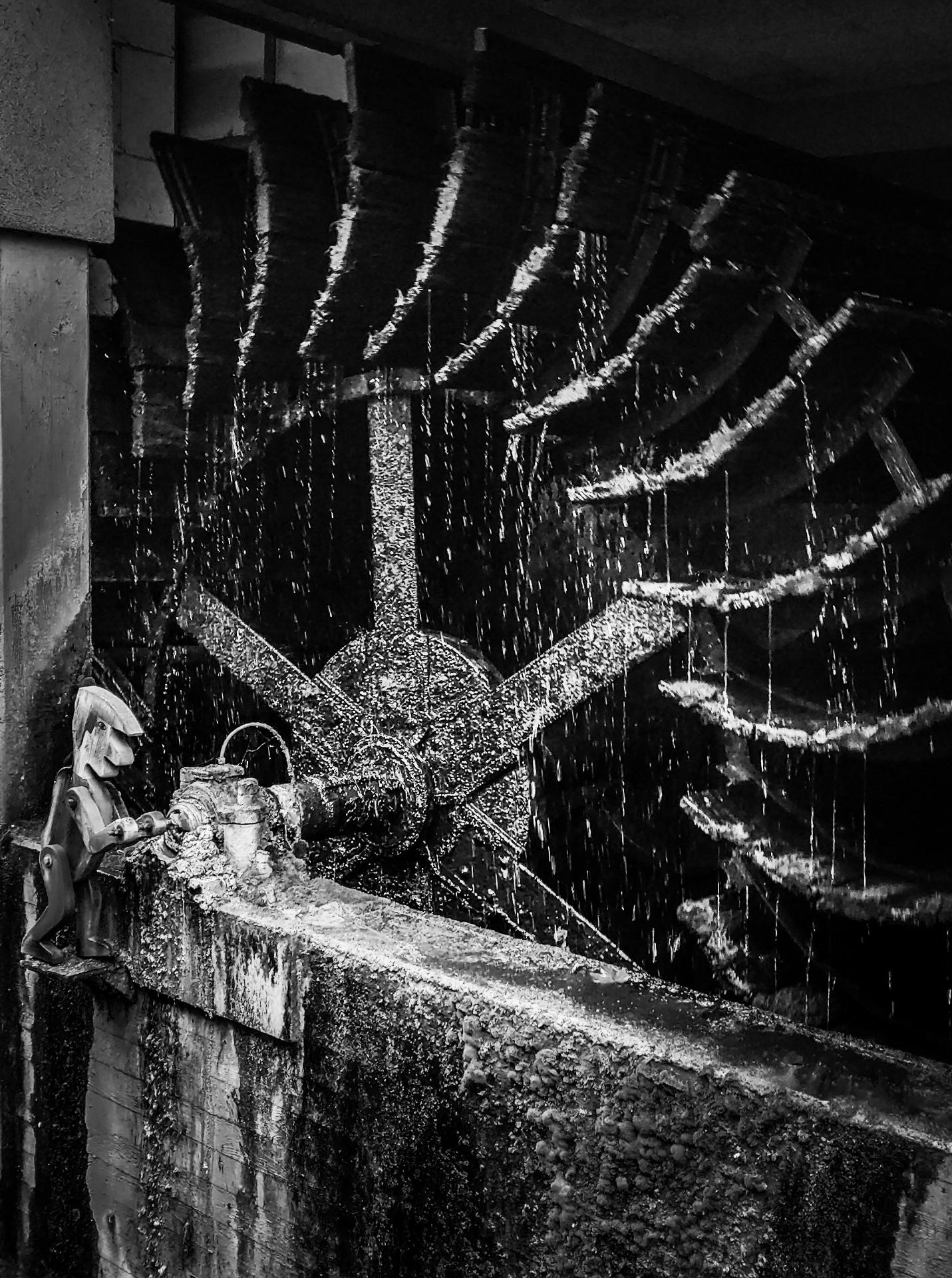Das Geheimnis hinter der Strömung im Roßneckar. Das Geheimnis hinter der Strömung im Roßneckar.
