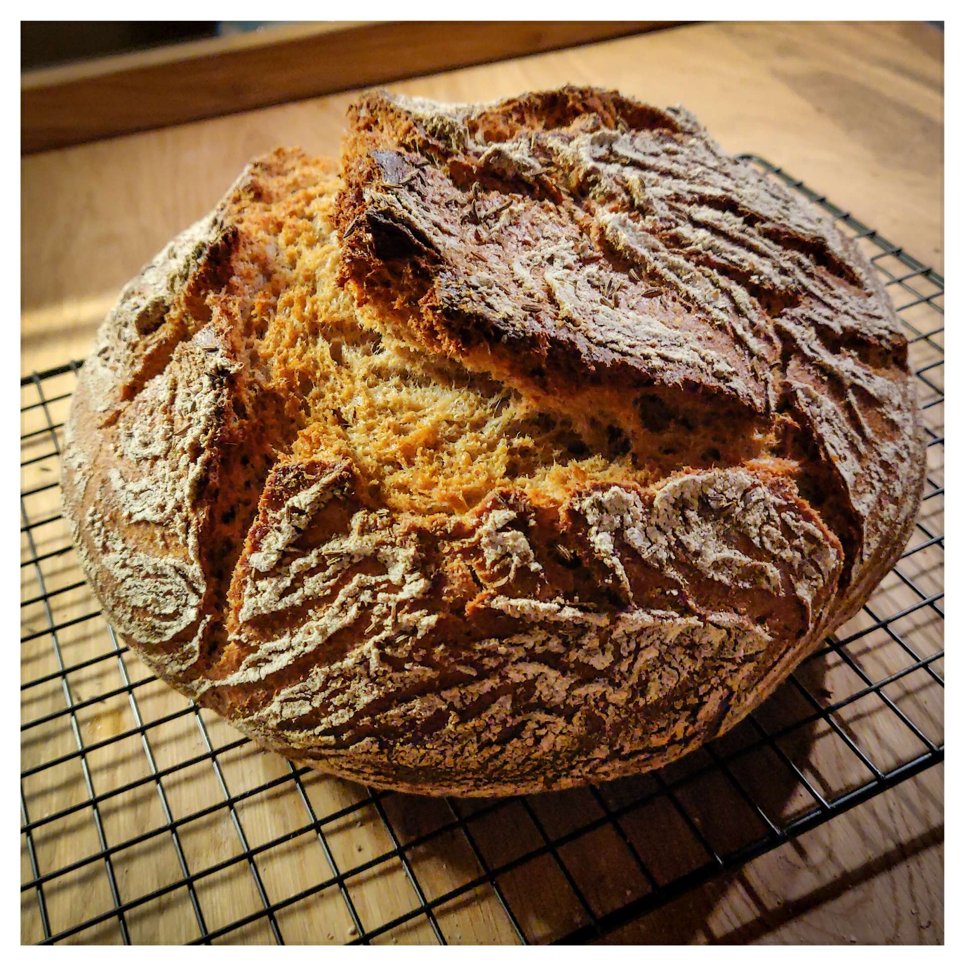 Ein Brotlaib liegt zum Auskühlen auch einem Gitterrost Ein Brotlaib liegt zum Auskühlen auch einem Gitterrost