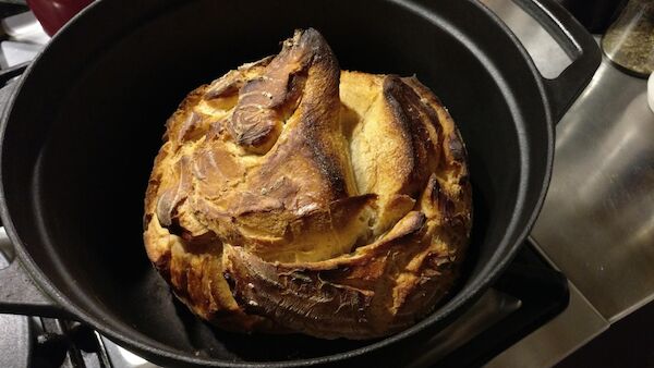 Das erste Brot aus dem angesetzten Sauerteig