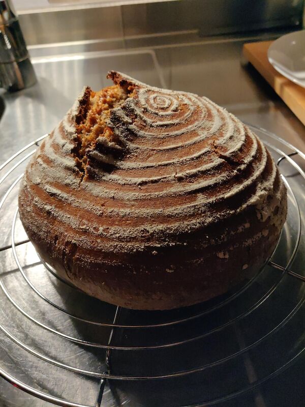 Ein gelungenes Roggenmischbrot Ein gelungenes Roggenmischbrot